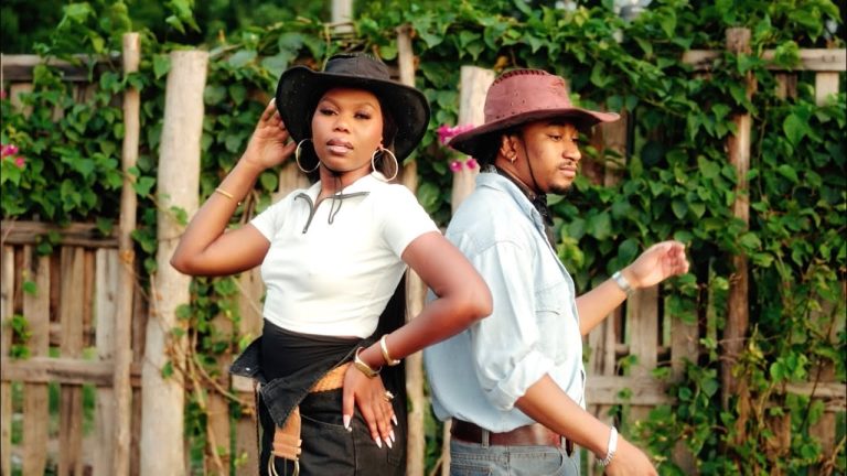 Maua Sama feat Jay Melody - Nitampata Wapi Visualiser